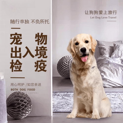 香港特别行政区宠物托运到哥伦比亚猫狗宠物入境规定和