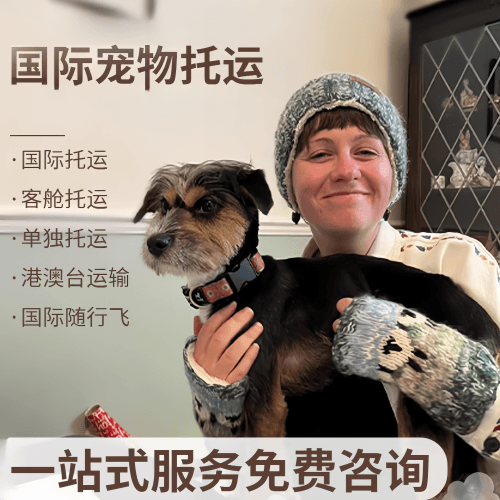 香港特别行政区国际宠物托运到阿根廷宠物入境规定和要