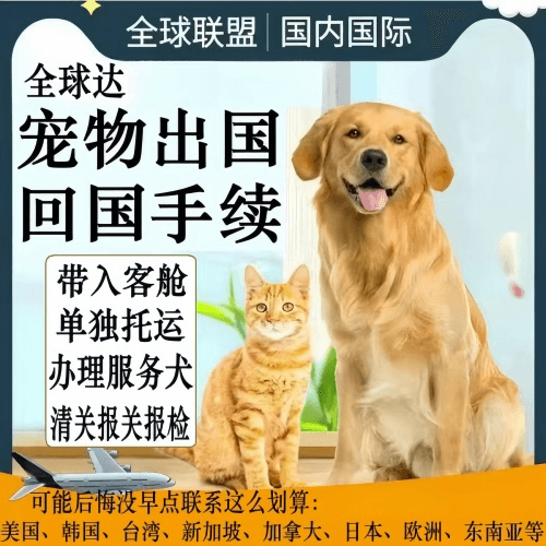香港特别行政区宠物托运到柬埔寨宠物入境规定和要求
