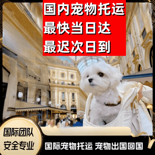 香港特别行政区到澳大利亚（澳洲）宠物入境规定和要求