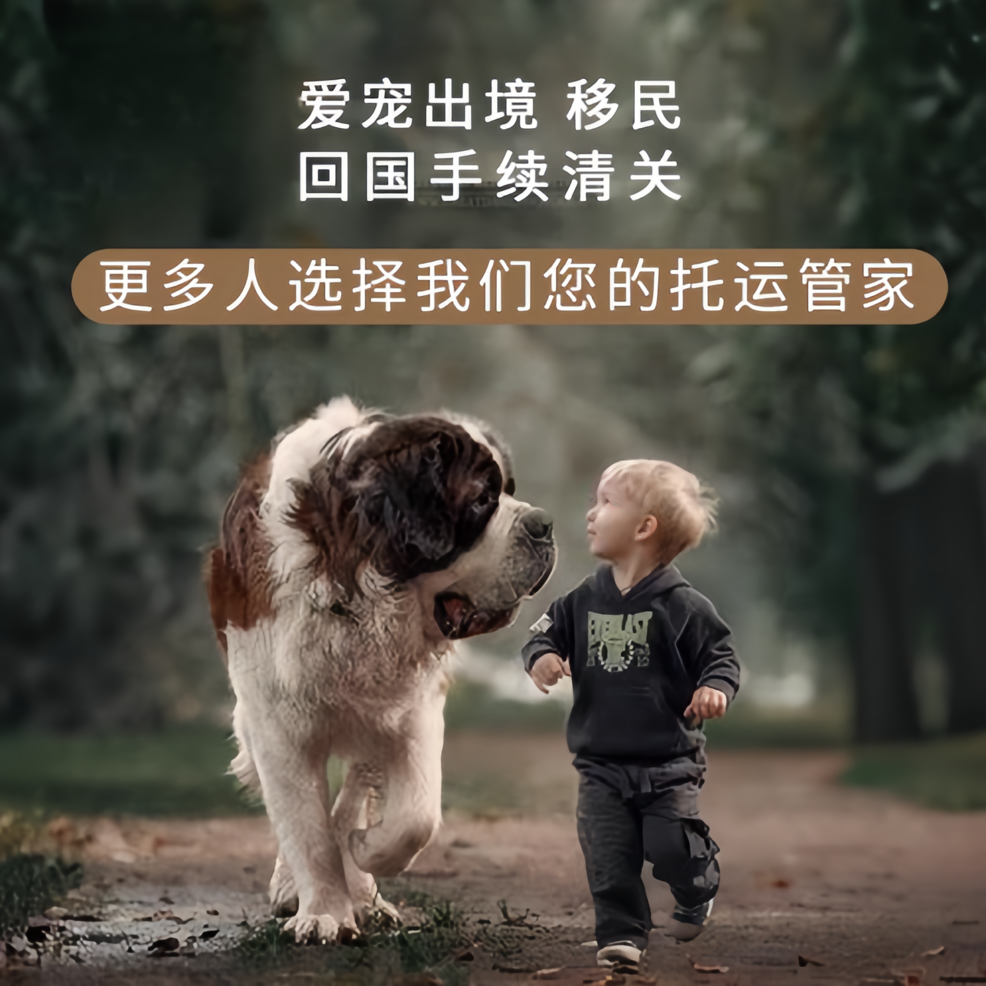 满财香港特别行政区宠物全球达宠物托运在遵守入境目的地政策的条件