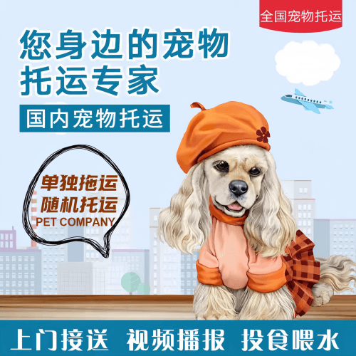 满财香港特别行政区宠物全球达宠物托运作为专业的宠物运输代理机构